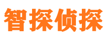 内黄婚外情调查取证